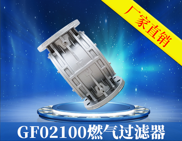 DN100燃气过滤器